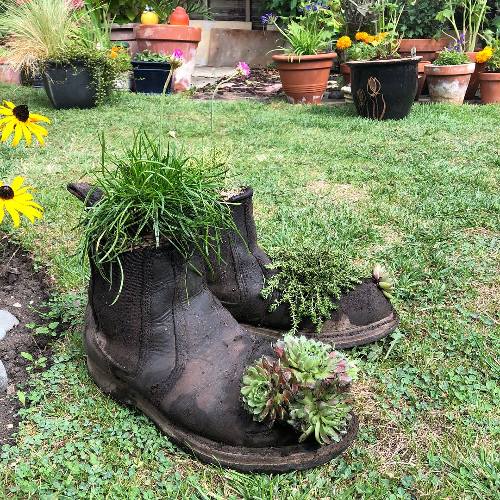 Use Your Old Work Boots as Boot Planters