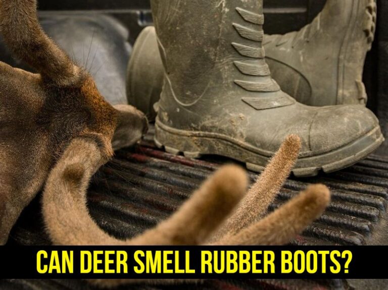 Can Deer Smell Rubber Boots?