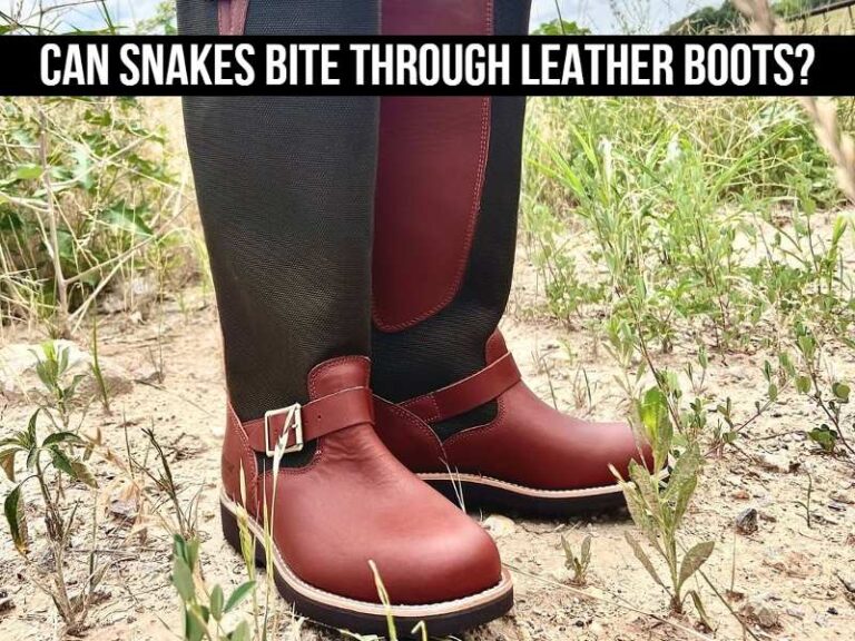 Can snakes bite through leather boots